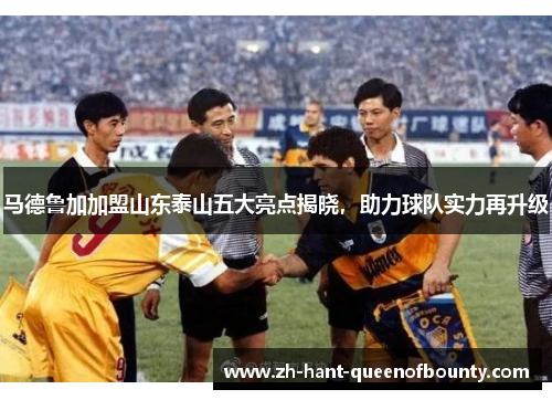 马德鲁加加盟山东泰山五大亮点揭晓，助力球队实力再升级