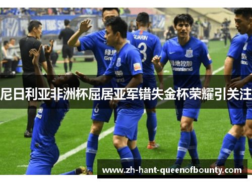 尼日利亚非洲杯屈居亚军错失金杯荣耀引关注