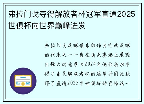 弗拉门戈夺得解放者杯冠军直通2025世俱杯向世界巅峰进发 弗拉门戈夺得解放者杯冠军直通2025世俱杯向世界巅峰进发